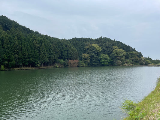 鴉山池