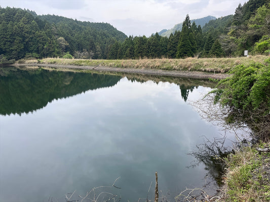 馬場谷池