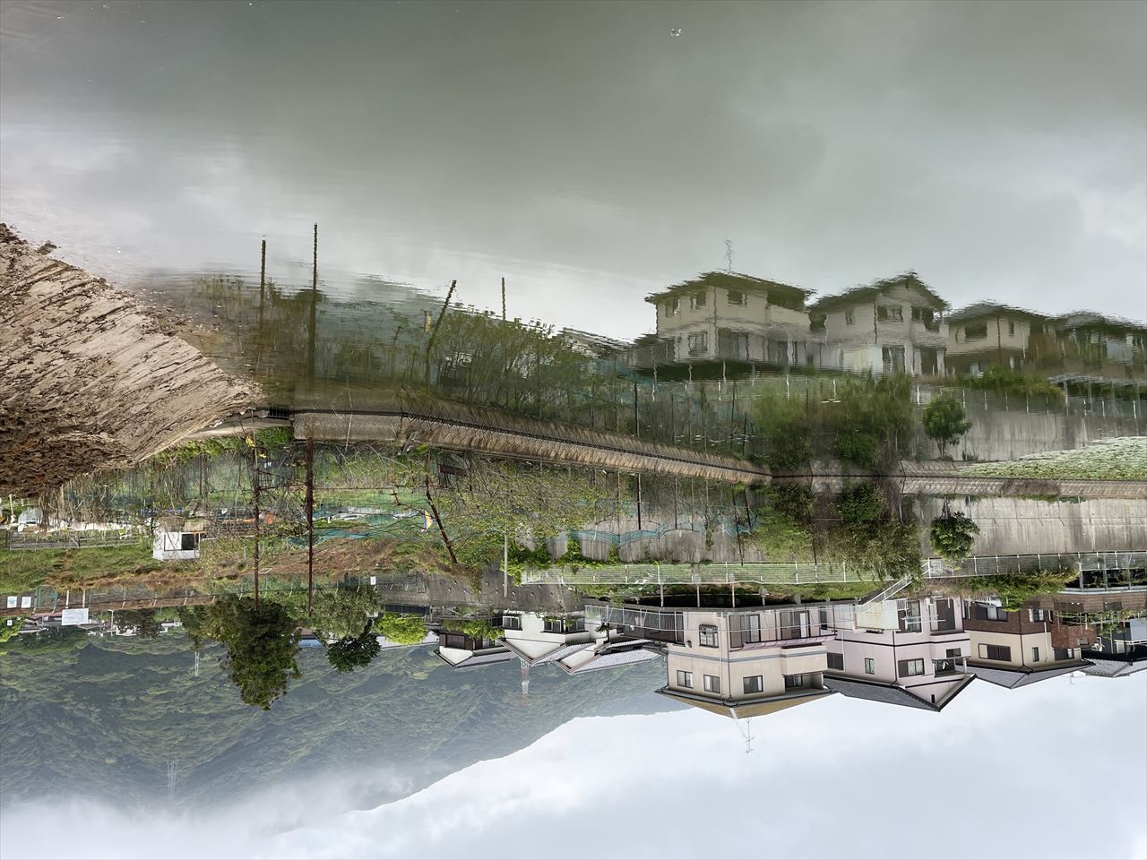 ◆大谷下池（葛原本町）