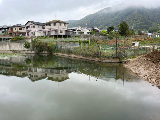 ◆大谷下池（葛原本町）