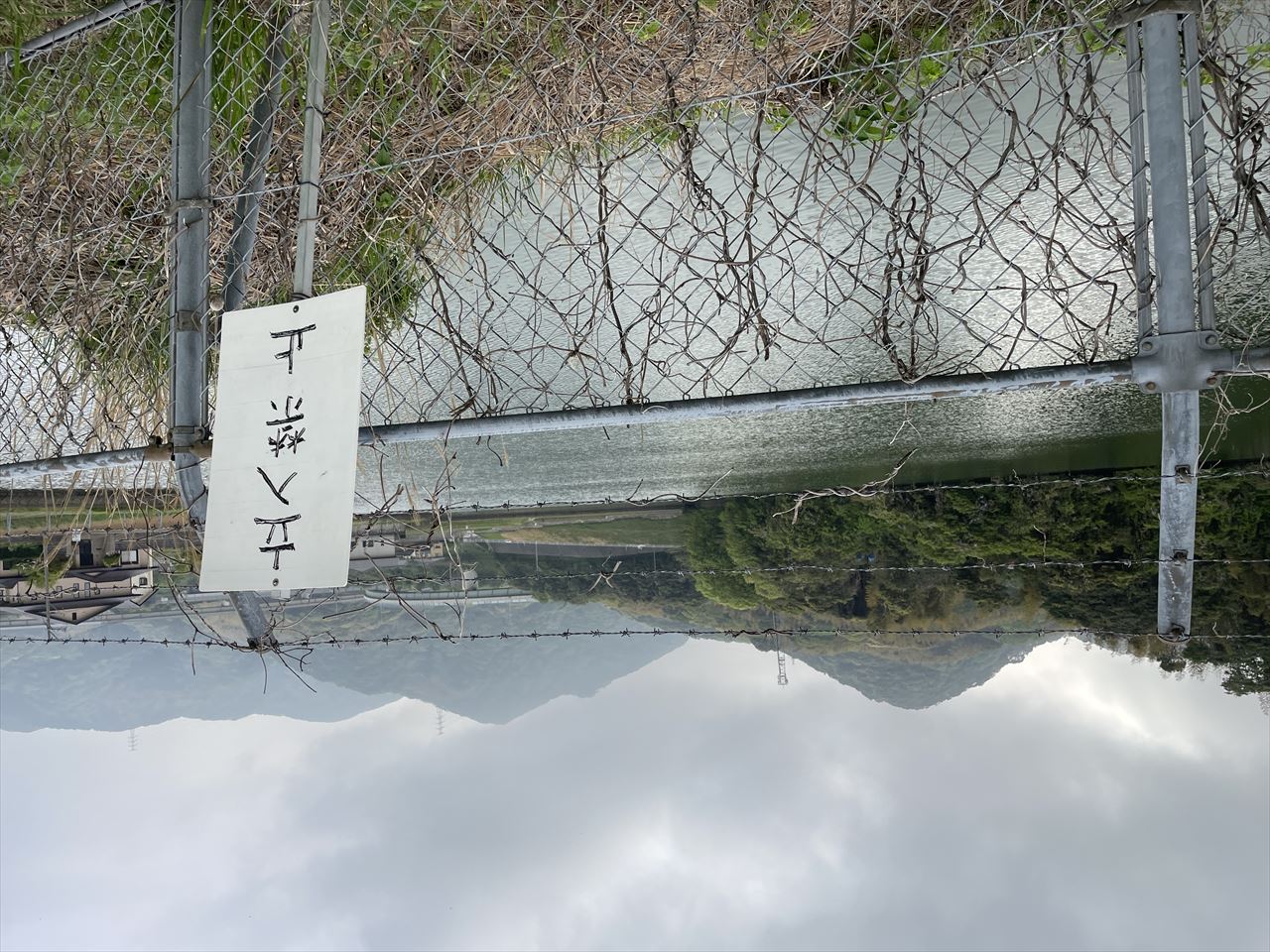 ◆岩崎池（石田）