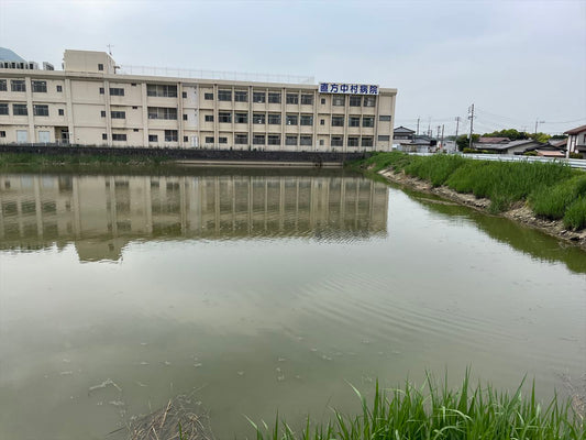 ◆三本松下池