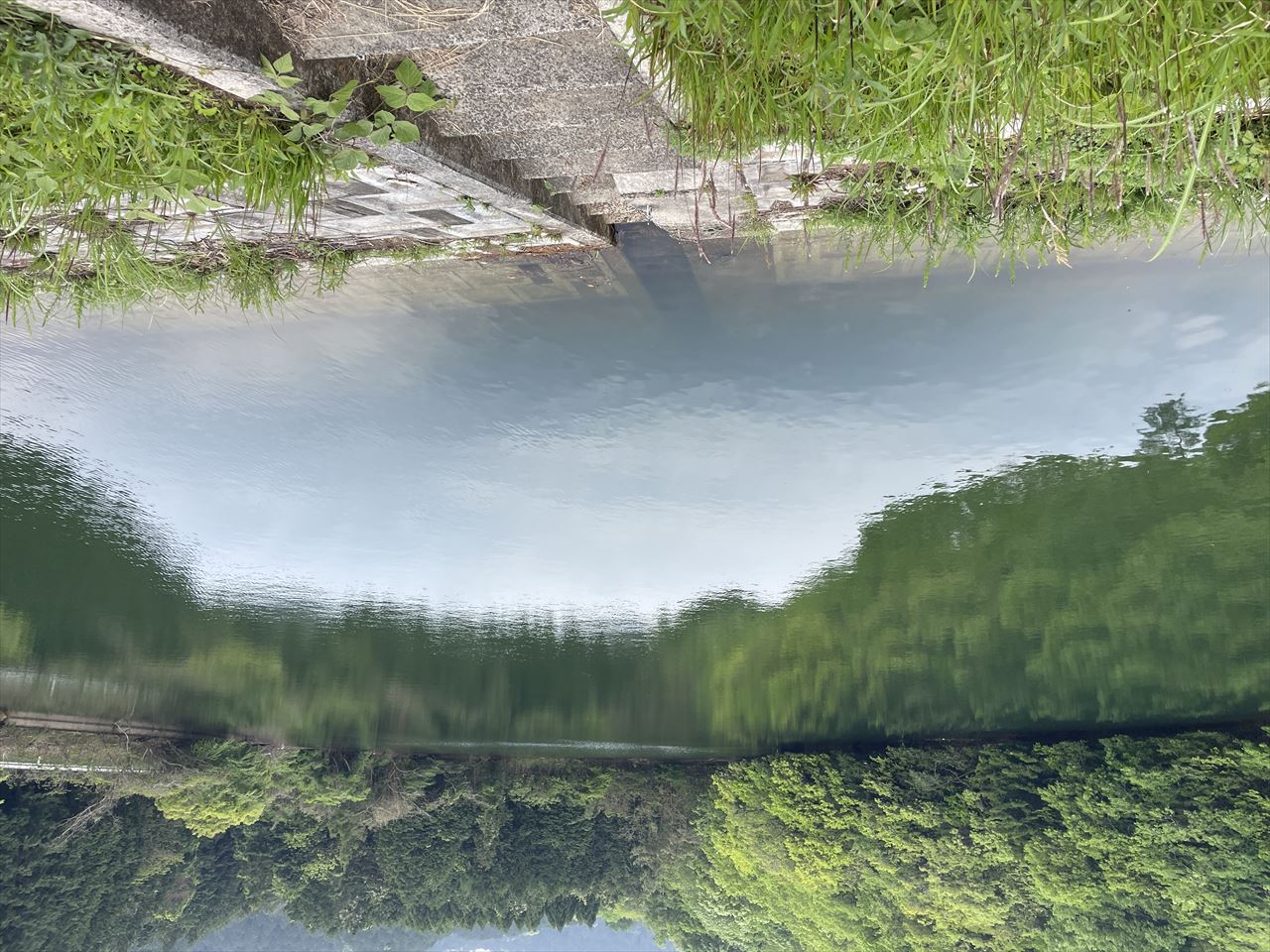 ◆市兵衛谷溜池