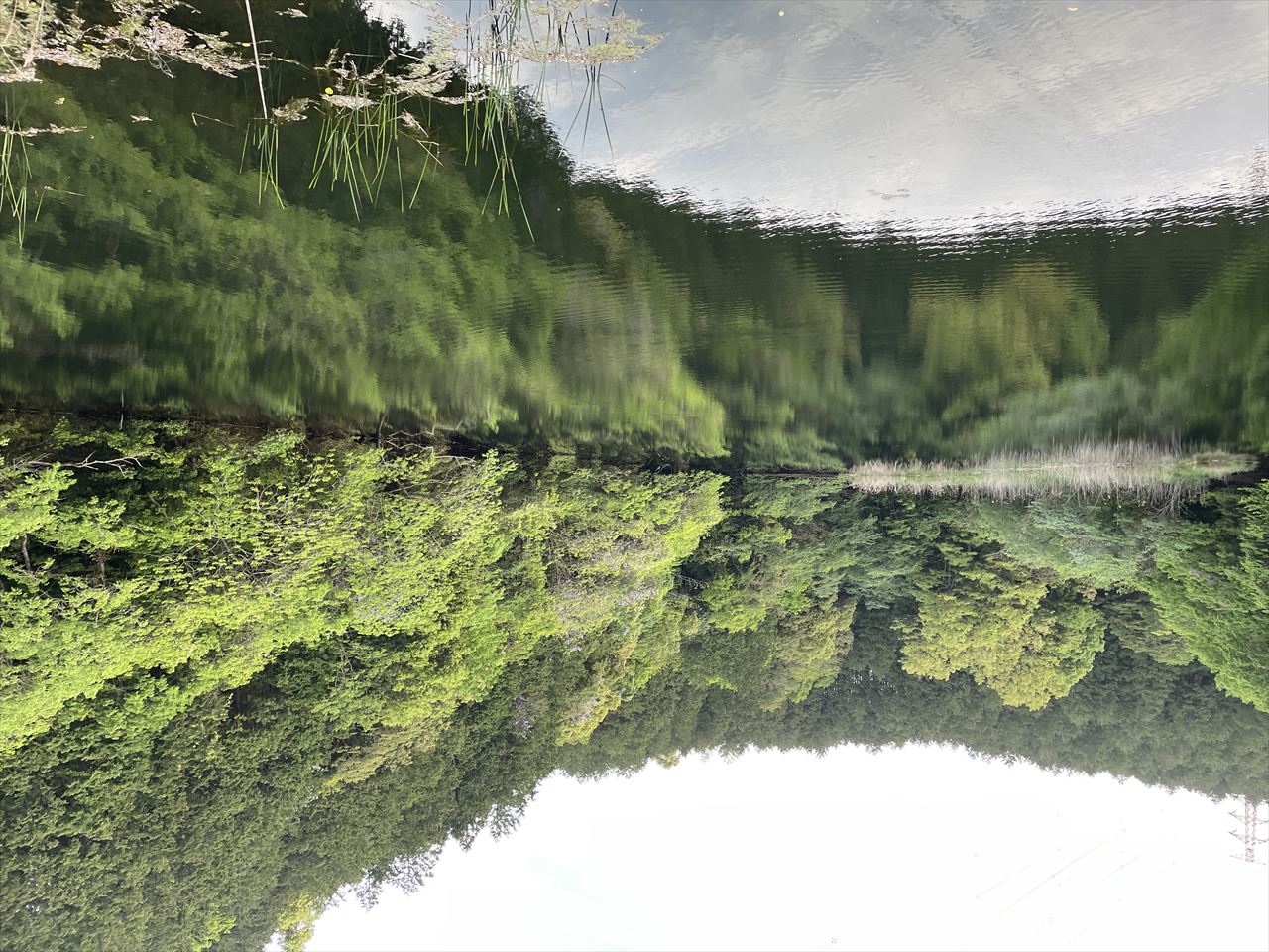 ◆松川池（太宰府）