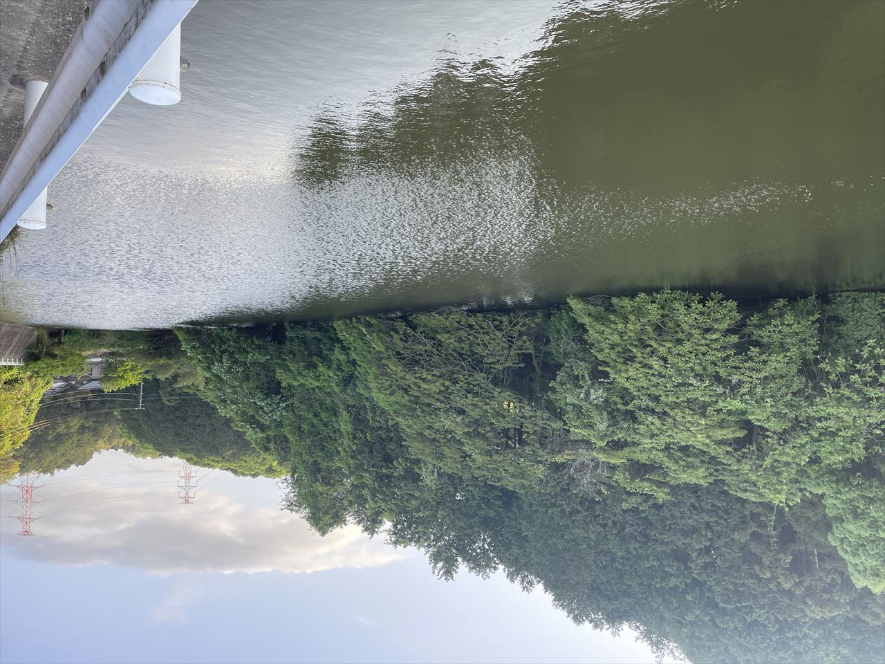 ◆畑田池（大隅）