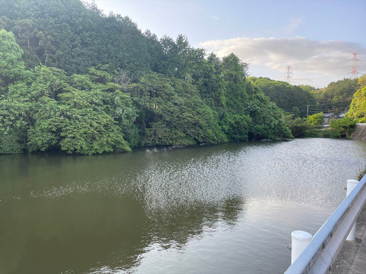 ◆畑田池（大隅）