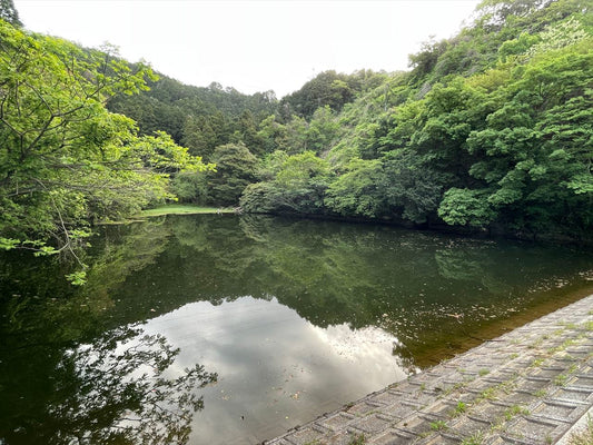 ◆上柳谷池（須恵町）