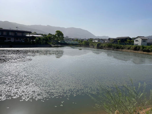 ◆宮ノ上池（新原）