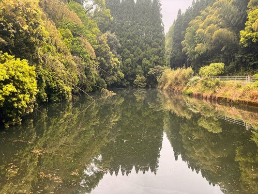 ◆浦ため池（肥猪町）