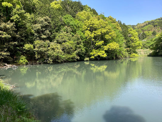 ◆不動寺池（久山町）