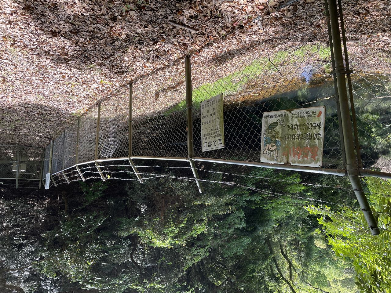 ◆奥の谷池（香椎）