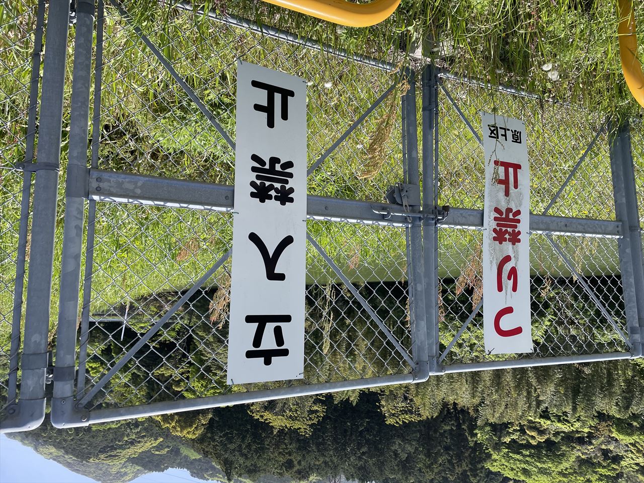 ◆川上池（原上）