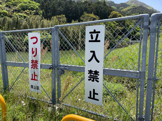 ◆川上池（原上）