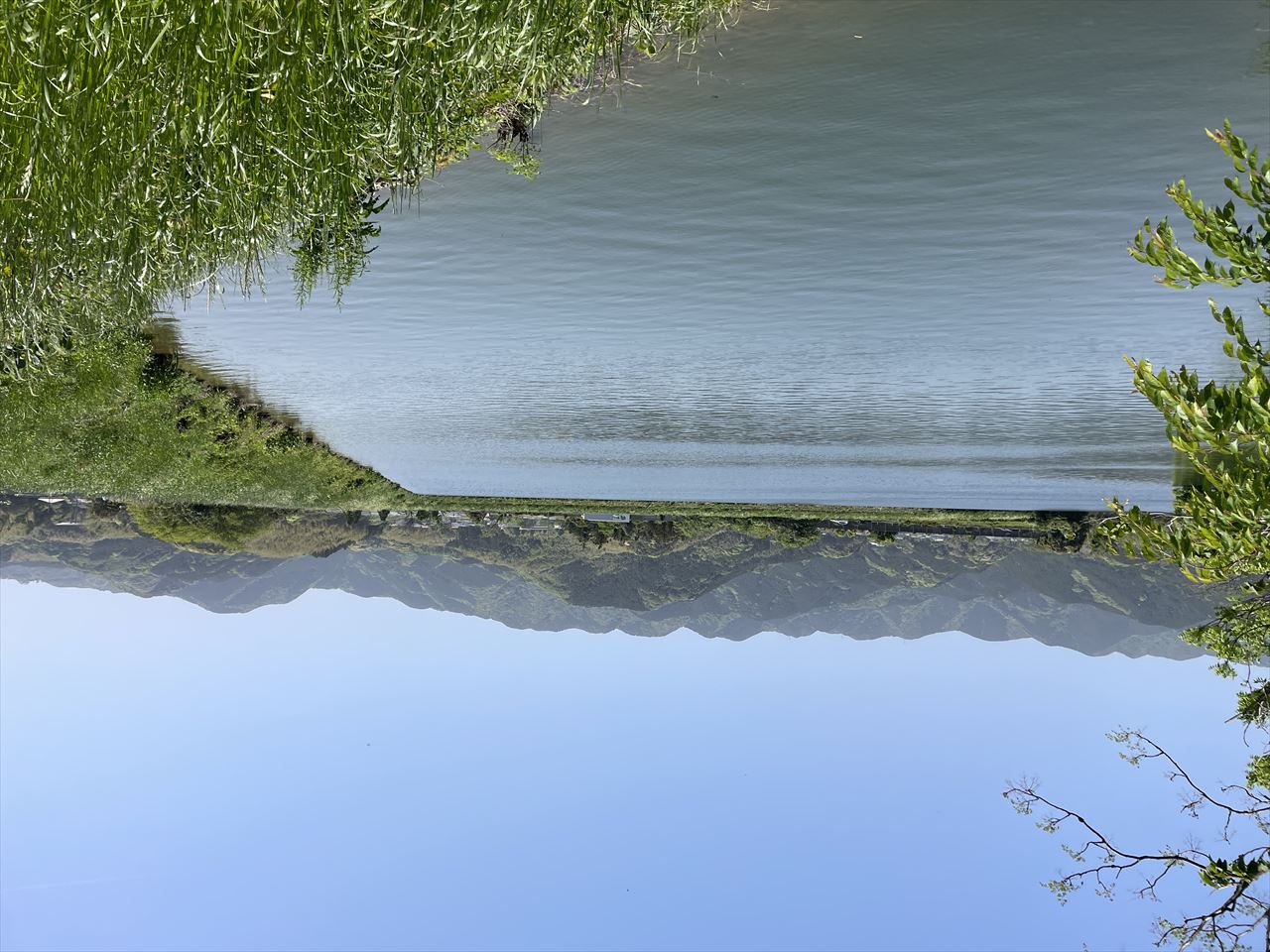 ◆高柳池/天神池/峠下池