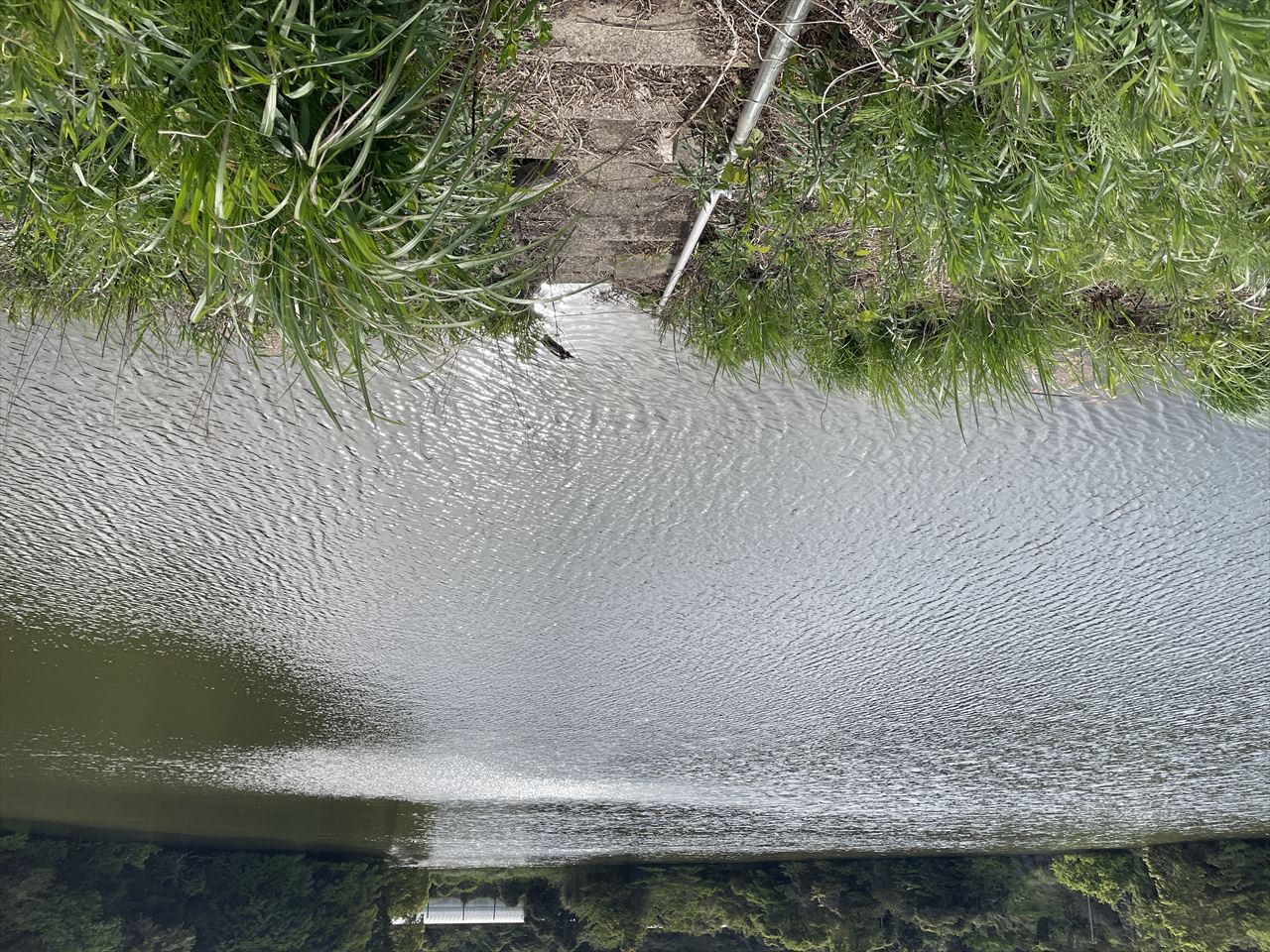 ◆小谷池（岡垣町）