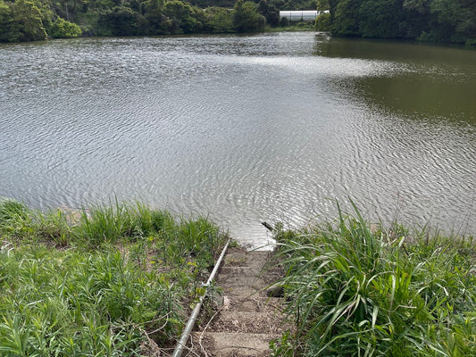 ◆小谷池（岡垣町）