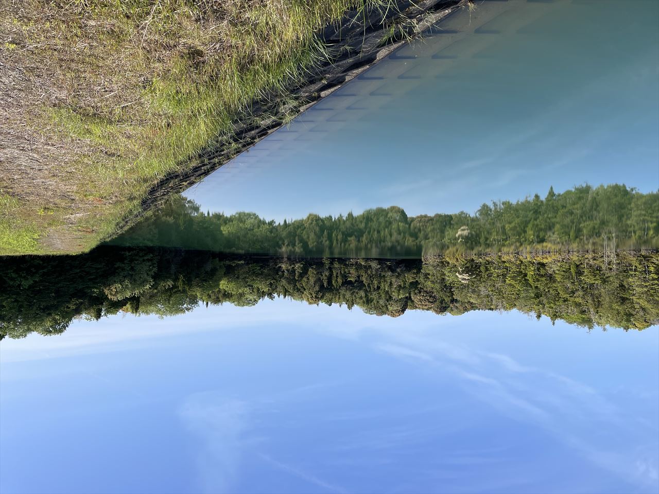 ◆植松池（東岐波）