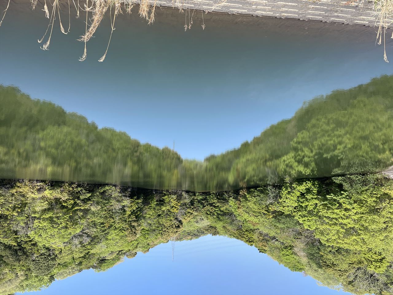 ◆西谷下池（棚井）