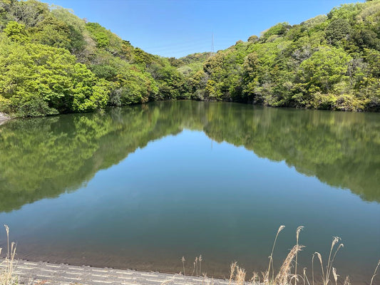 ◆西谷下池（棚井）