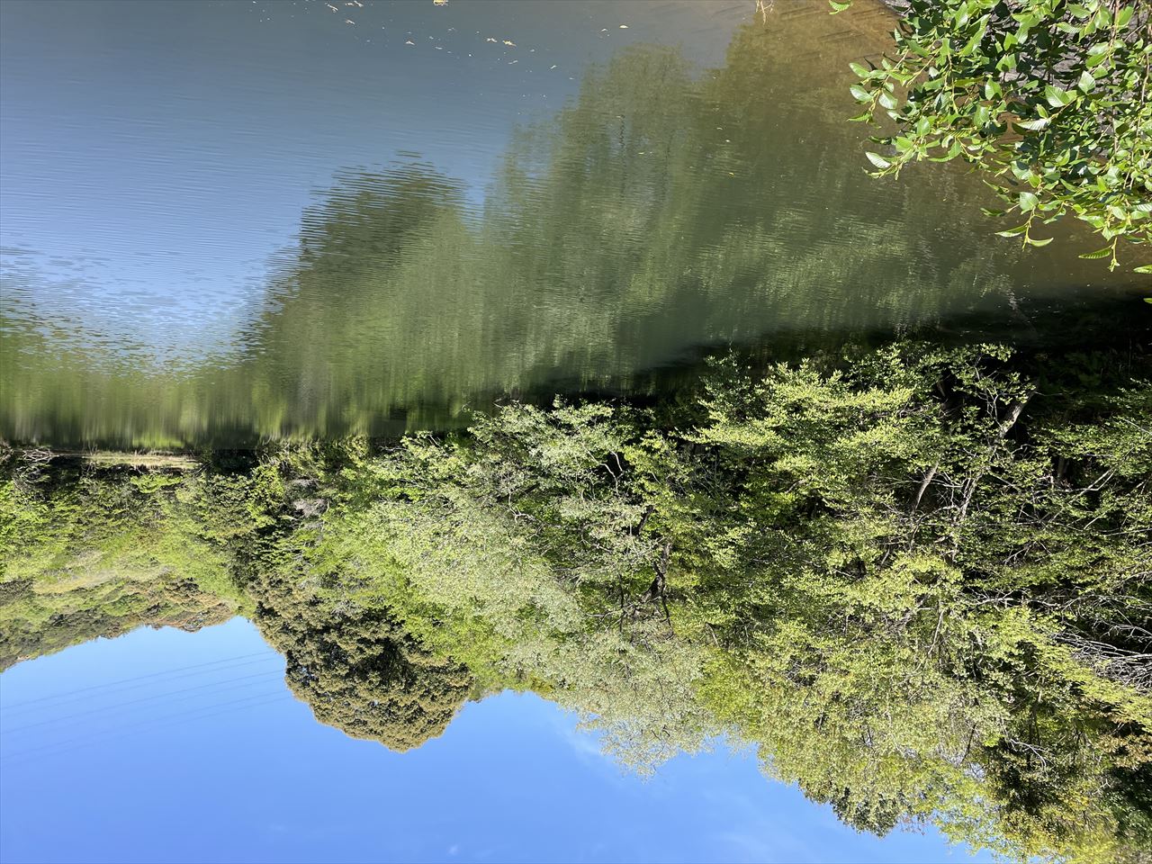 ◆西谷中池（棚井）