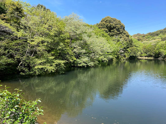 ◆西谷中池（棚井）