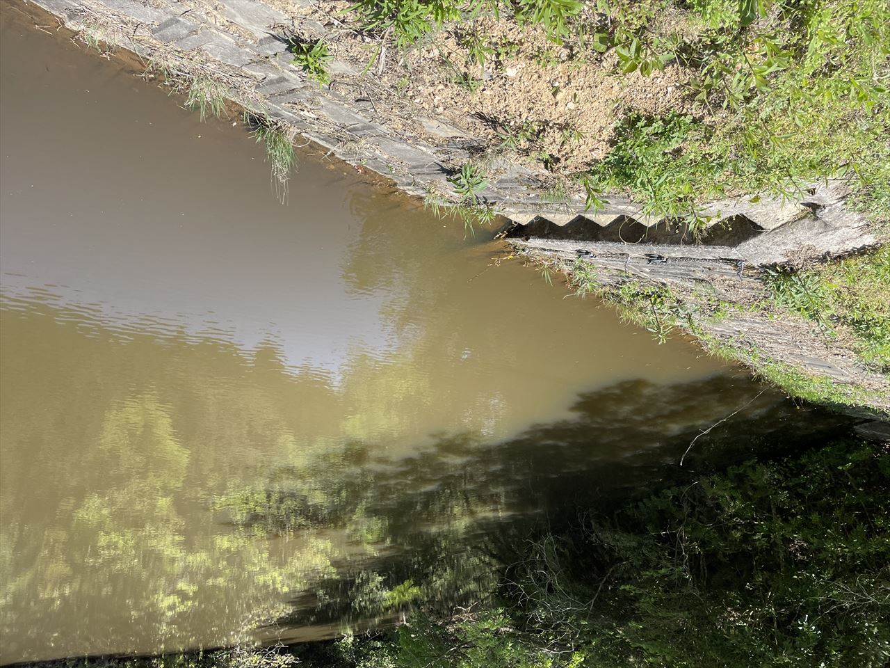 ◆新堤（津布田）