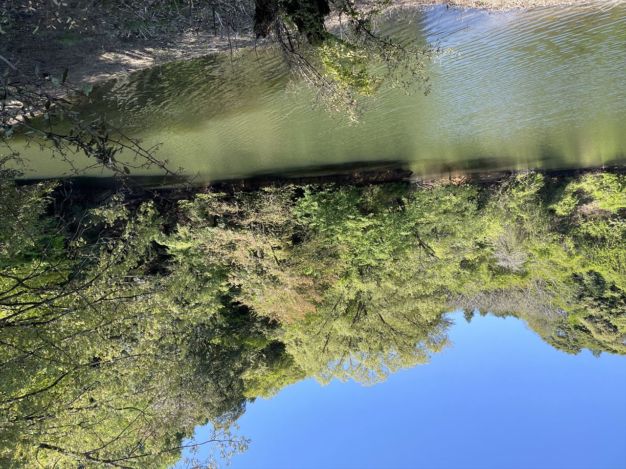 ◆竹谷池（伊賀）