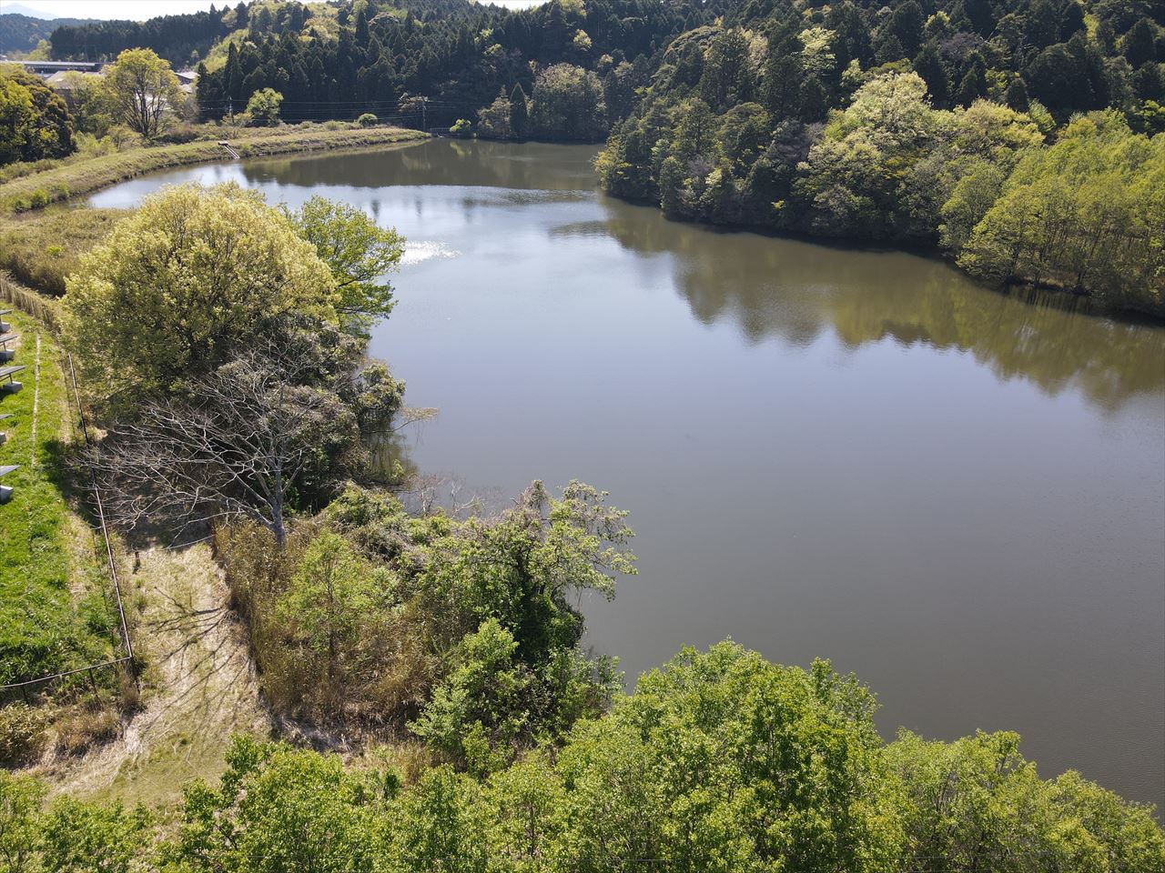 ◆奥中山池（柘植）